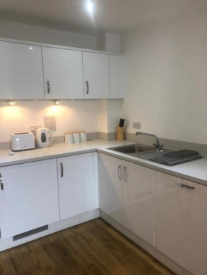 Modern and Stylish 2 bedrooms 2 bathrooms apartment in Woking!